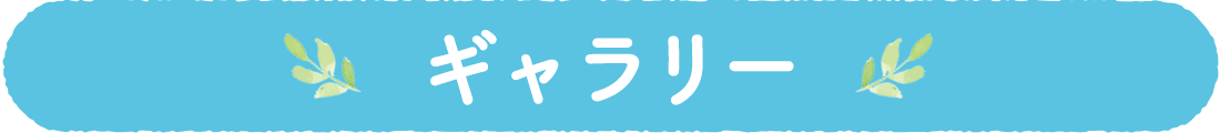 ギャラリー