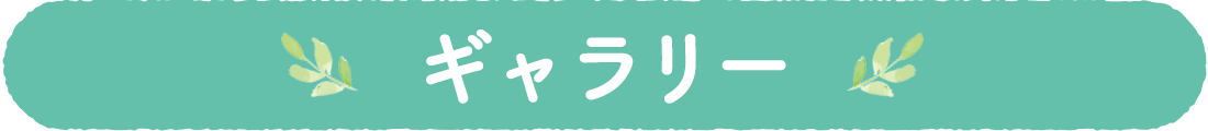 ギャラリー