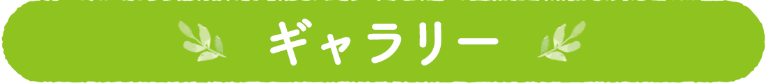 ギャラリー