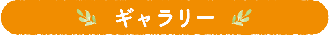 ギャラリー