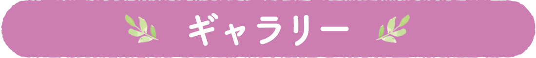 ギャラリー