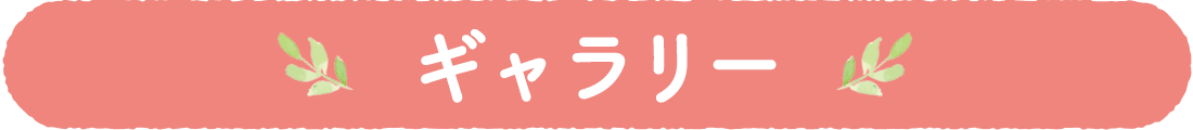 ギャラリー