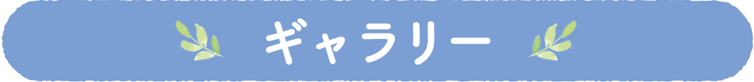 ギャラリー