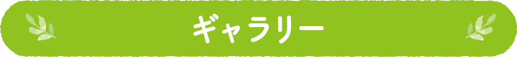 ギャラリー
